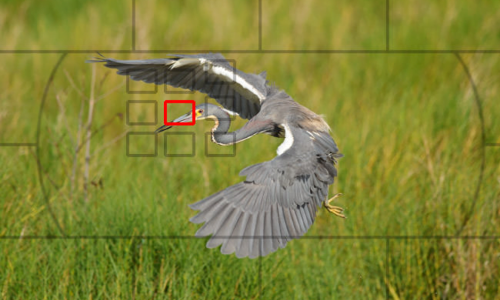 1png