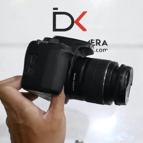 P9980619