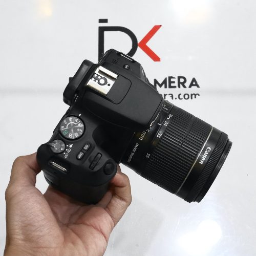 P9980638
